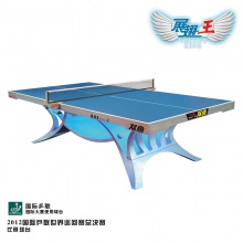双鱼DOUBLEFISH 展翅王 银色乒乓球台球桌  国际国内大赛使用球台