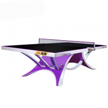双鱼Doublefish 展翅王2代 标准乒乓球台 大型比赛乒乓球桌 含网架