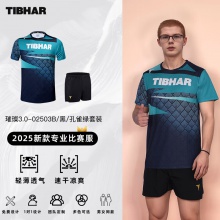 TIBHAR挺拔 璀璨3.0 02530乒乓球服夏季透气T恤短袖乒乓球运动服训练服