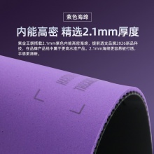 Sanwei三维国标靶紫金王朝专业乒乓球胶皮内能海绵粘性反胶套胶