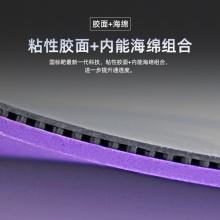 Sanwei三维国标靶紫金王朝专业乒乓球胶皮内能海绵粘性反胶套胶