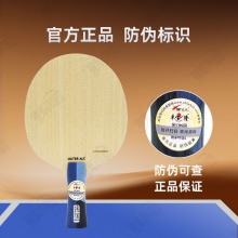 【送三星球】卓隆&郗恩庭乐章速度speed乒乓球拍底板外置ALC弧圈快攻型乒乓底板