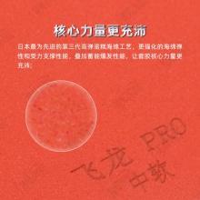 YASAKA亚萨卡飞龙pro乒乓球胶皮套胶高弹内能涩性正手用涩性反胶套胶